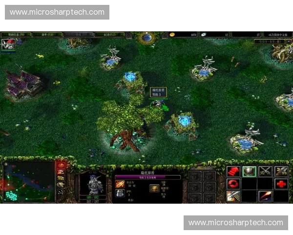 Dota2错觉现象解析探秘探索虚实之间的战场心理与策略